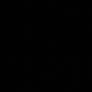 Meet your Posher, Shananney